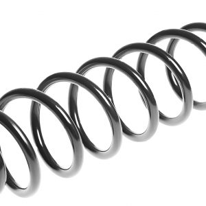 Пружина задняя