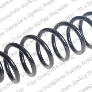 Пружина задняя