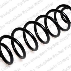 Пружина задняя