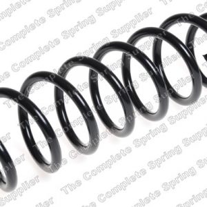 Пружина задняя