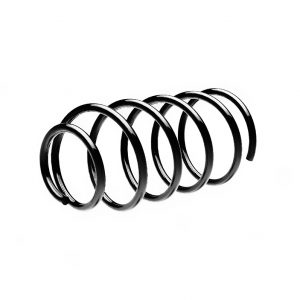 Пружина задняя