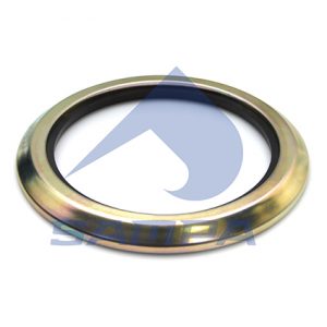 Сальник заднего моста