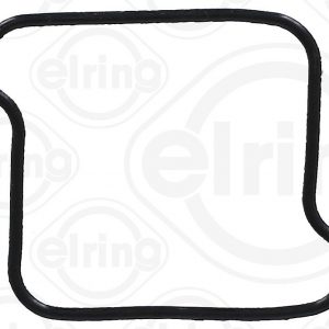 Кольцо уплотнительное (двигатель)