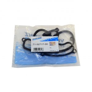 Прокладка клапанной крышки