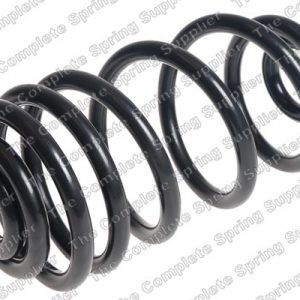 Пружина задняя