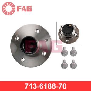 Ступица задняя