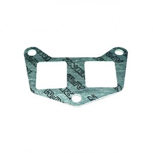 Прокладка впускного коллектора