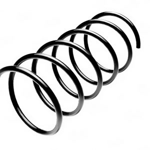 Пружина передняя