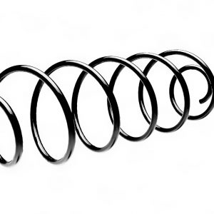 Пружина задняя