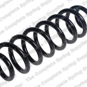 Пружина задняя