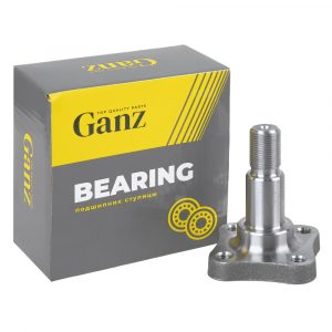 Цапфа (п.з.к.)