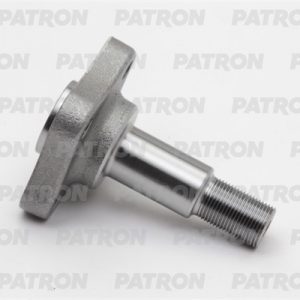 Цапфа (п.з.к.)