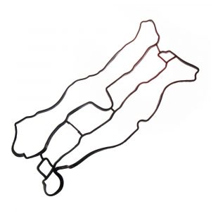 Прокладка клапанной крышки