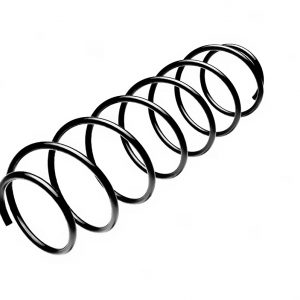 Пружина задняя